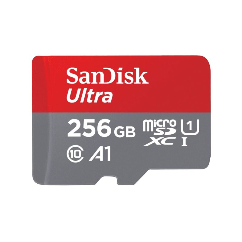 sandisk 256gb sd/microsd memory card